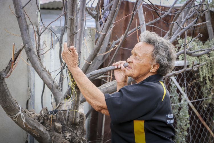 Joan Jacobs with one of the large trees in her garden that died due to the drought. Picture: Aletta Harrison/News24